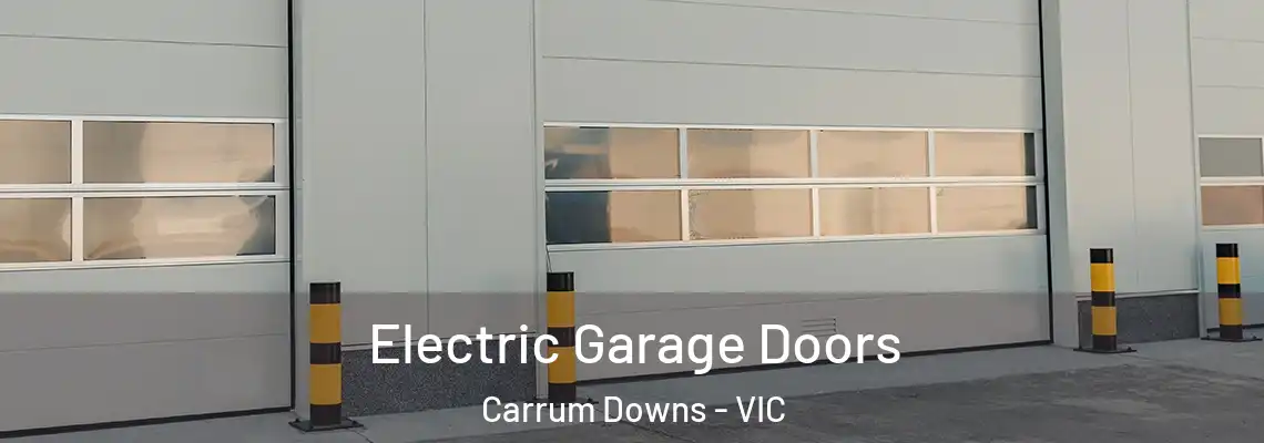 Electric Garage Doors Carrum Downs - VIC