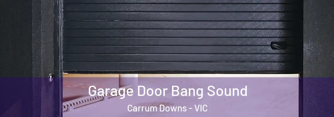 Garage Door Bang Sound Carrum Downs - VIC