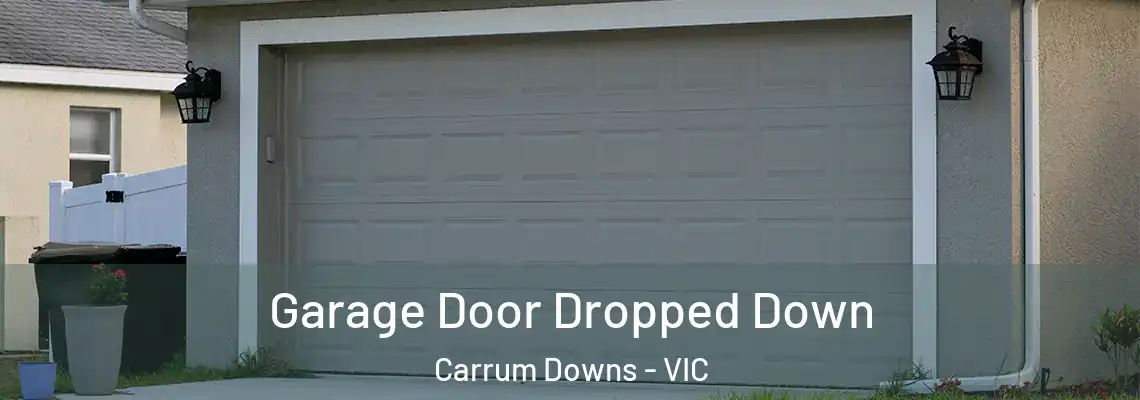 Garage Door Dropped Down Carrum Downs - VIC