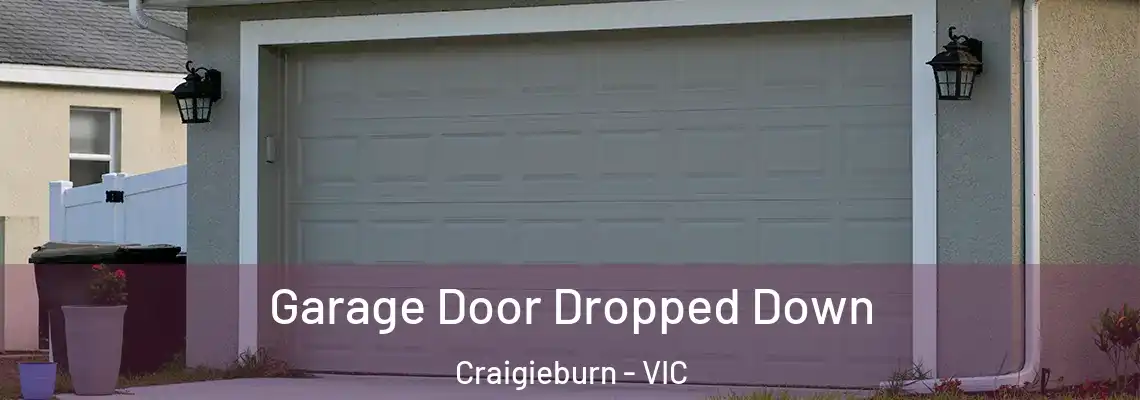 Garage Door Dropped Down Craigieburn - VIC