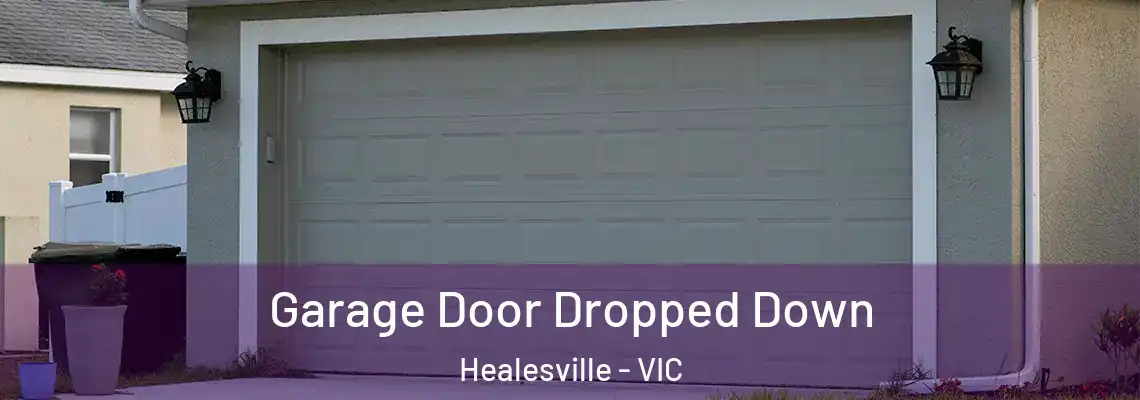Garage Door Dropped Down Healesville - VIC