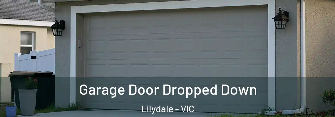  Garage Door Dropped Down Lilydale - VIC