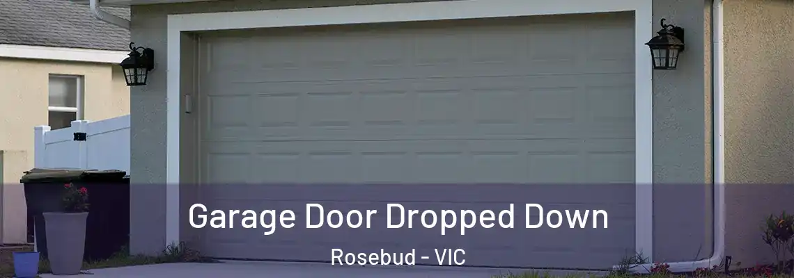  Garage Door Dropped Down Rosebud - VIC