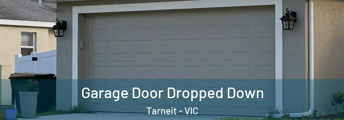 Garage Door Dropped Down Tarneit - VIC