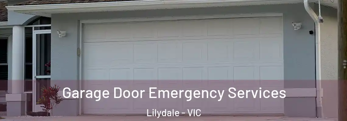 Garage Door Emergency Services Lilydale - VIC