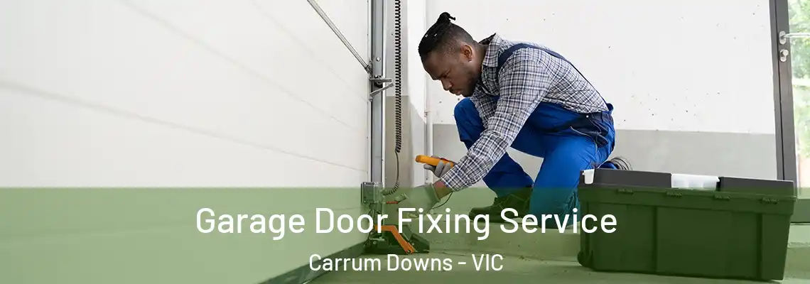 Garage Door Fixing Service Carrum Downs - VIC