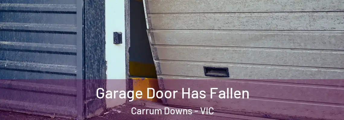 Garage Door Has Fallen Carrum Downs - VIC