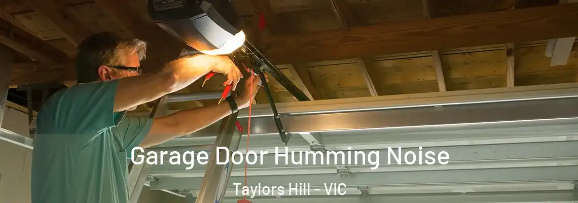 Garage Door Humming Noise Taylors Hill - VIC