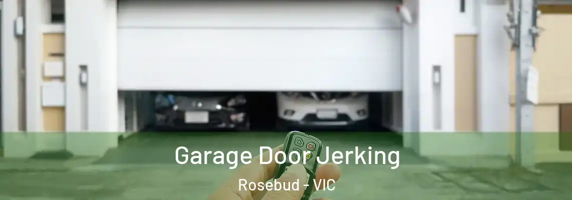 Garage Door Jerking Rosebud - VIC
