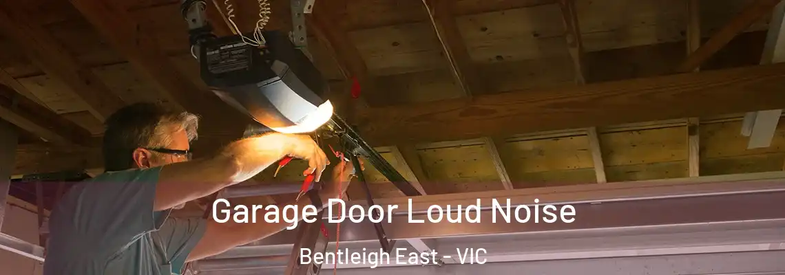 Garage Door Loud Noise Bentleigh East - VIC