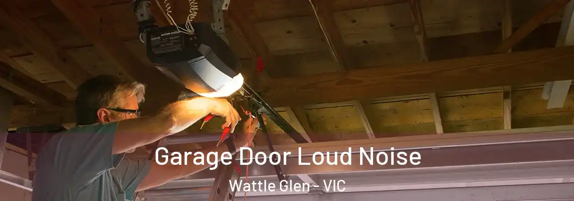 Garage Door Loud Noise Wattle Glen - VIC