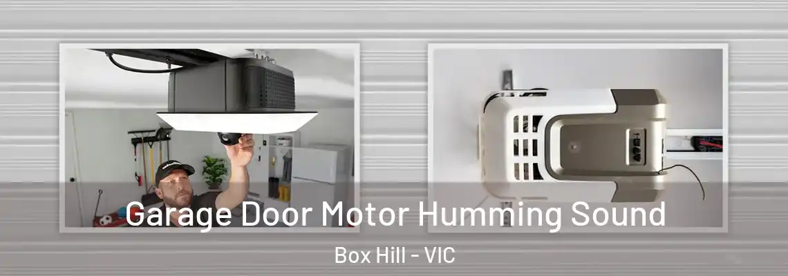 Garage Door Motor Humming Sound Box Hill - VIC