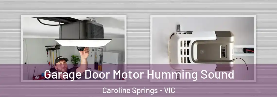 Garage Door Motor Humming Sound Caroline Springs - VIC