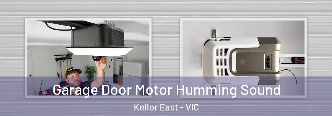 Garage Door Motor Humming Sound Keilor East - VIC
