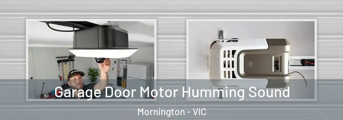 Garage Door Motor Humming Sound Mornington - VIC