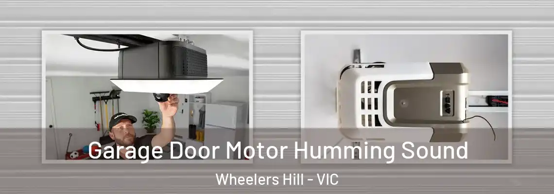 Garage Door Motor Humming Sound Wheelers Hill - VIC