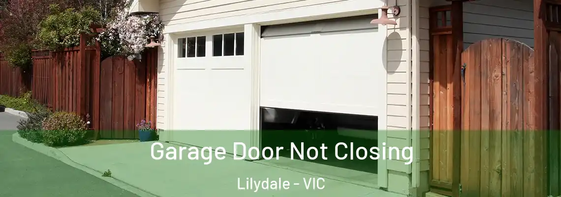  Garage Door Not Closing Lilydale - VIC