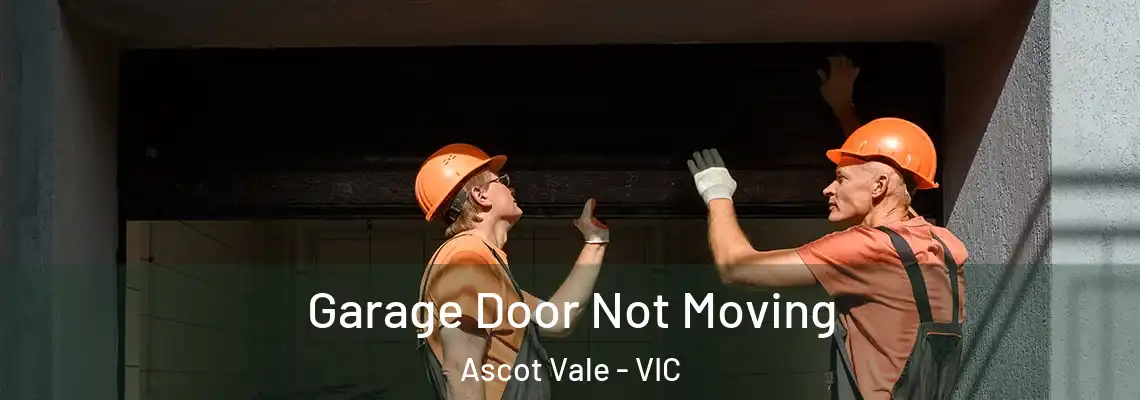  Garage Door Not Moving Ascot Vale - VIC