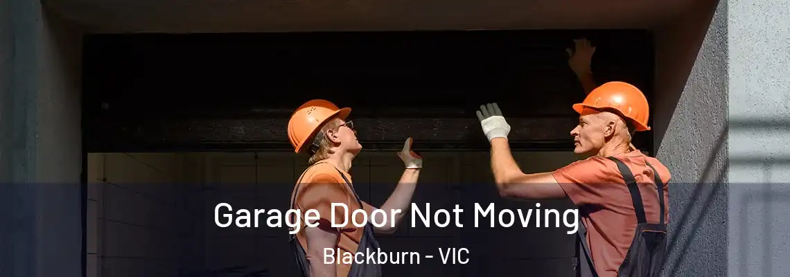Garage Door Not Moving Blackburn - VIC