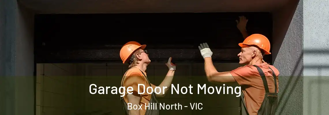  Garage Door Not Moving Box Hill North - VIC