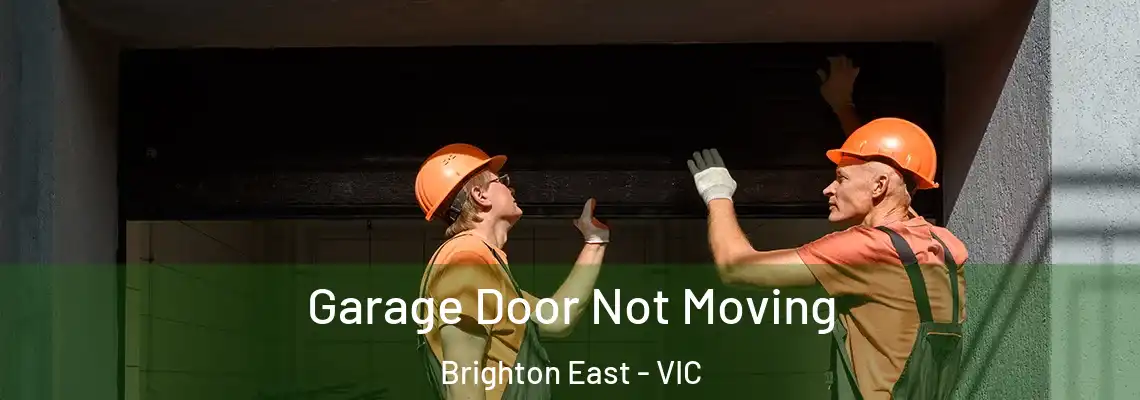 Garage Door Not Moving Brighton East - VIC