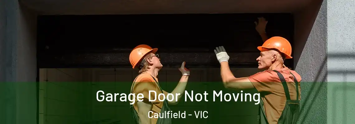  Garage Door Not Moving Caulfield - VIC