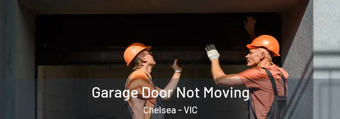 Garage Door Not Moving Chelsea - VIC