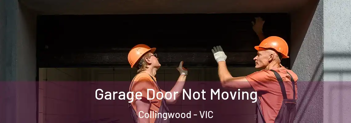  Garage Door Not Moving Collingwood - VIC