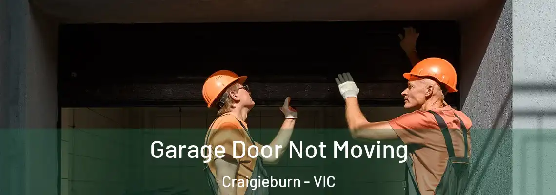  Garage Door Not Moving Craigieburn - VIC