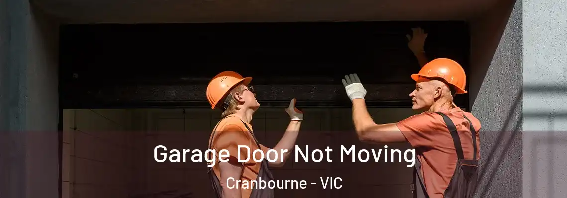 Garage Door Not Moving Cranbourne - VIC