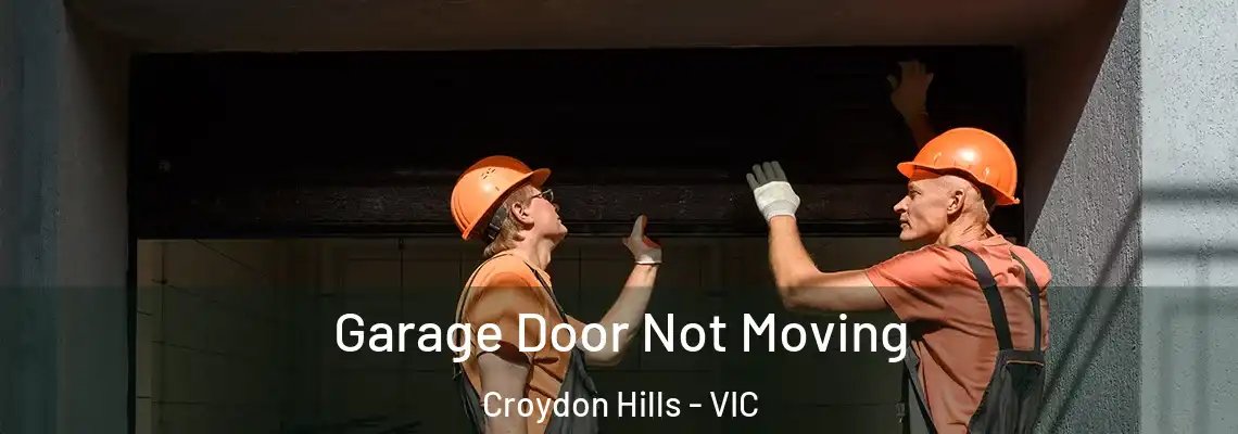 Garage Door Not Moving Croydon Hills - VIC