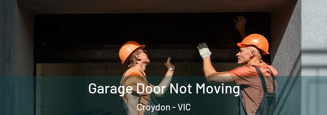 Garage Door Not Moving Croydon - VIC