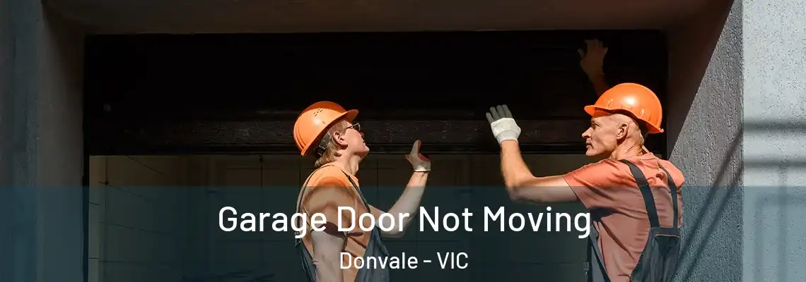  Garage Door Not Moving Donvale - VIC