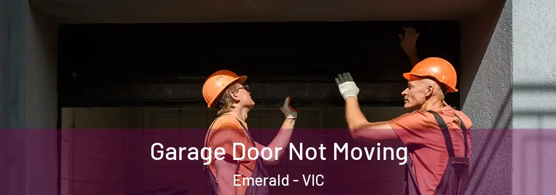 Garage Door Not Moving Emerald - VIC