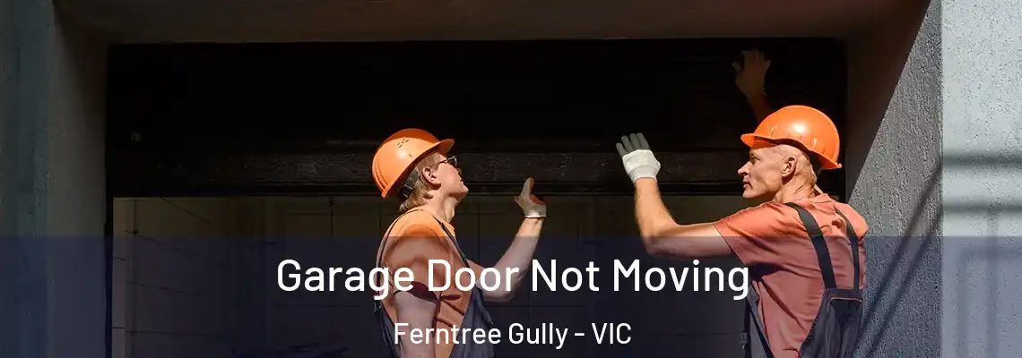  Garage Door Not Moving Ferntree Gully - VIC