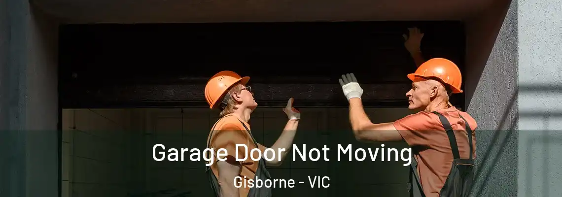  Garage Door Not Moving Gisborne - VIC