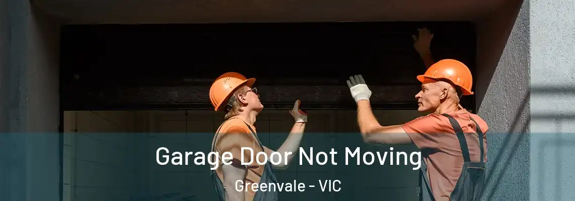  Garage Door Not Moving Greenvale - VIC