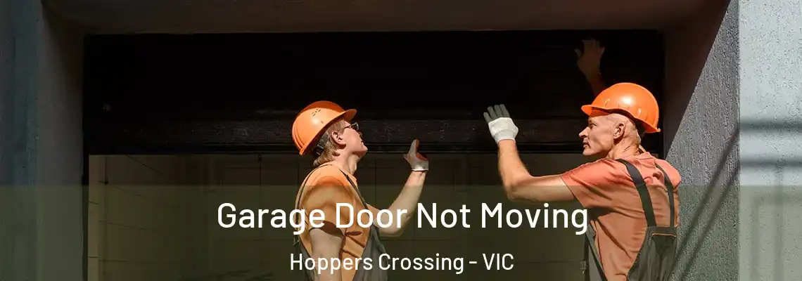 Garage Door Not Moving Hoppers Crossing - VIC