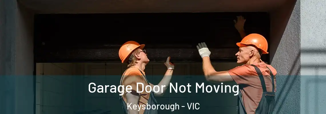 Garage Door Not Moving Keysborough - VIC