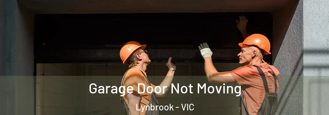 Garage Door Not Moving Lynbrook - VIC