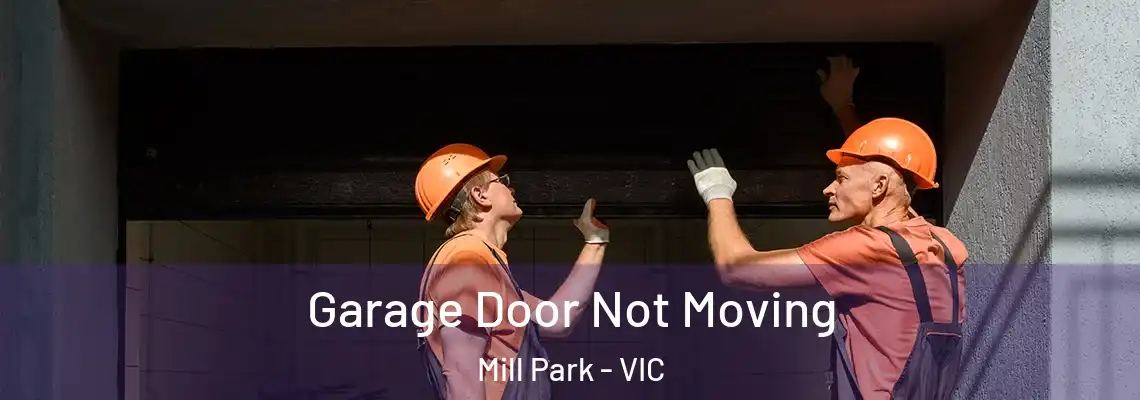 Garage Door Not Moving Mill Park - VIC