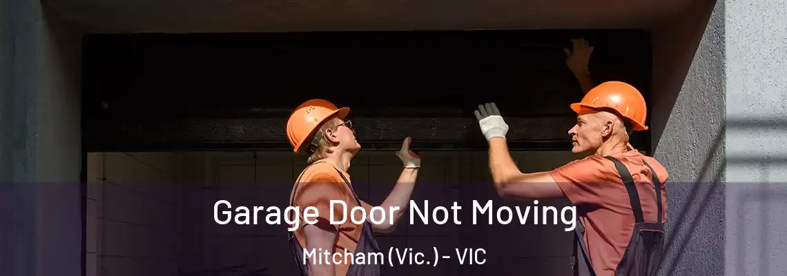 Garage Door Not Moving Mitcham (Vic.) - VIC