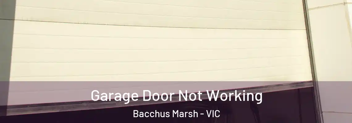  Garage Door Not Working Bacchus Marsh - VIC