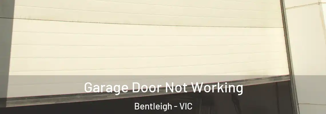  Garage Door Not Working Bentleigh - VIC