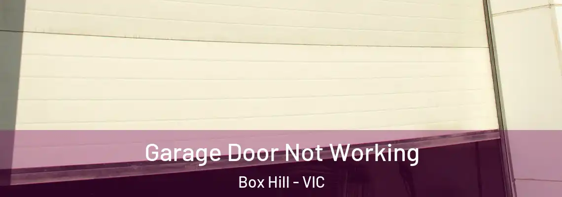 Garage Door Not Working Box Hill - VIC
