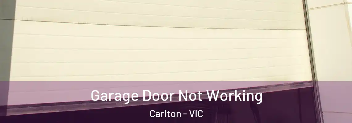  Garage Door Not Working Carlton - VIC