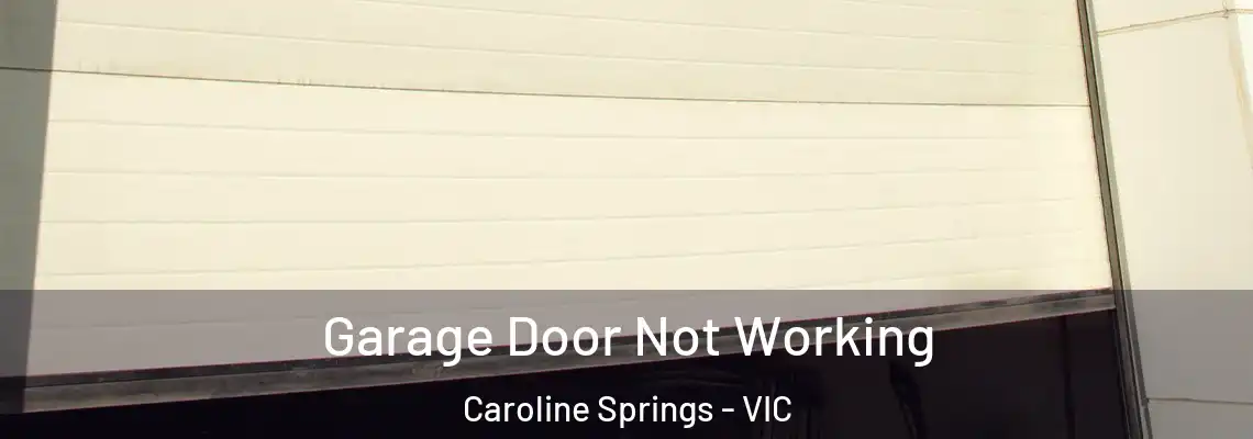 Garage Door Not Working Caroline Springs - VIC