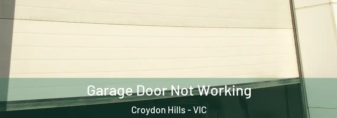 Garage Door Not Working Croydon Hills - VIC