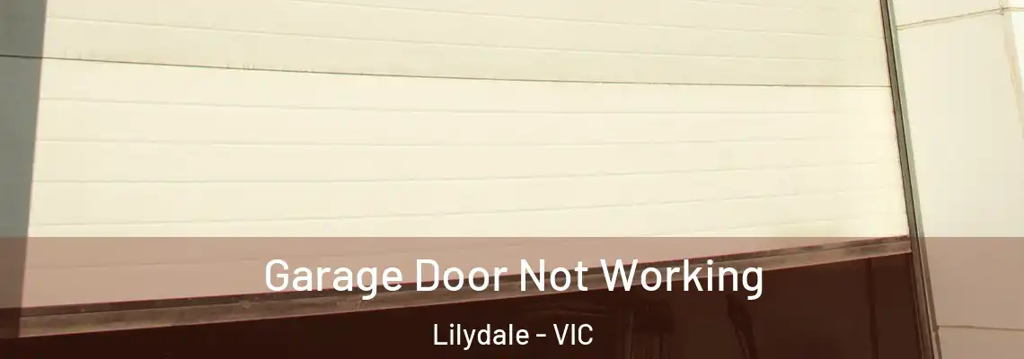  Garage Door Not Working Lilydale - VIC