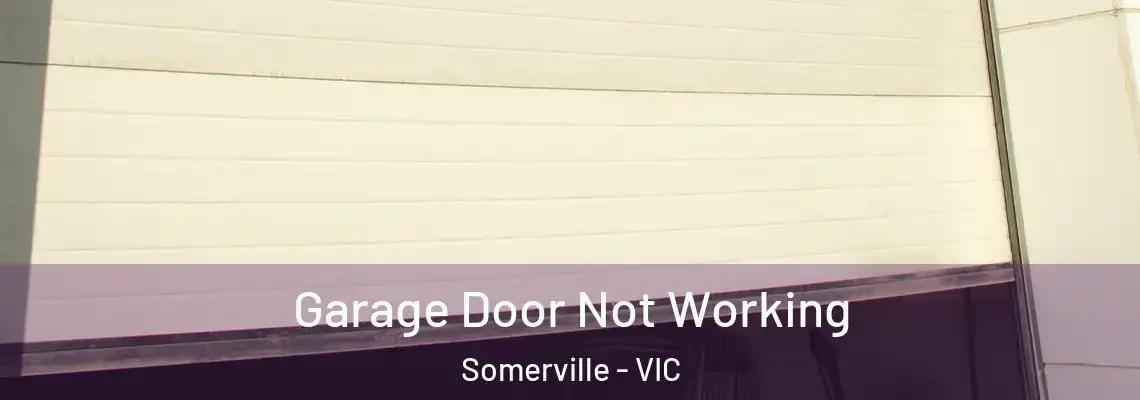  Garage Door Not Working Somerville - VIC